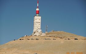 Les Cigales Du Ventoux